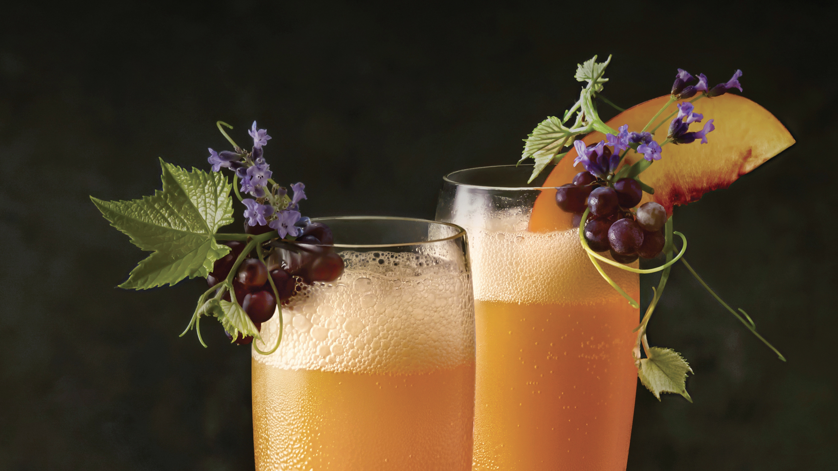 Classical-Cocktails-Bruton-Stroube-Studio-05.jpg