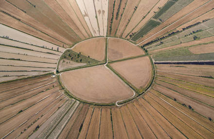 Circular Forms as Seen from Above