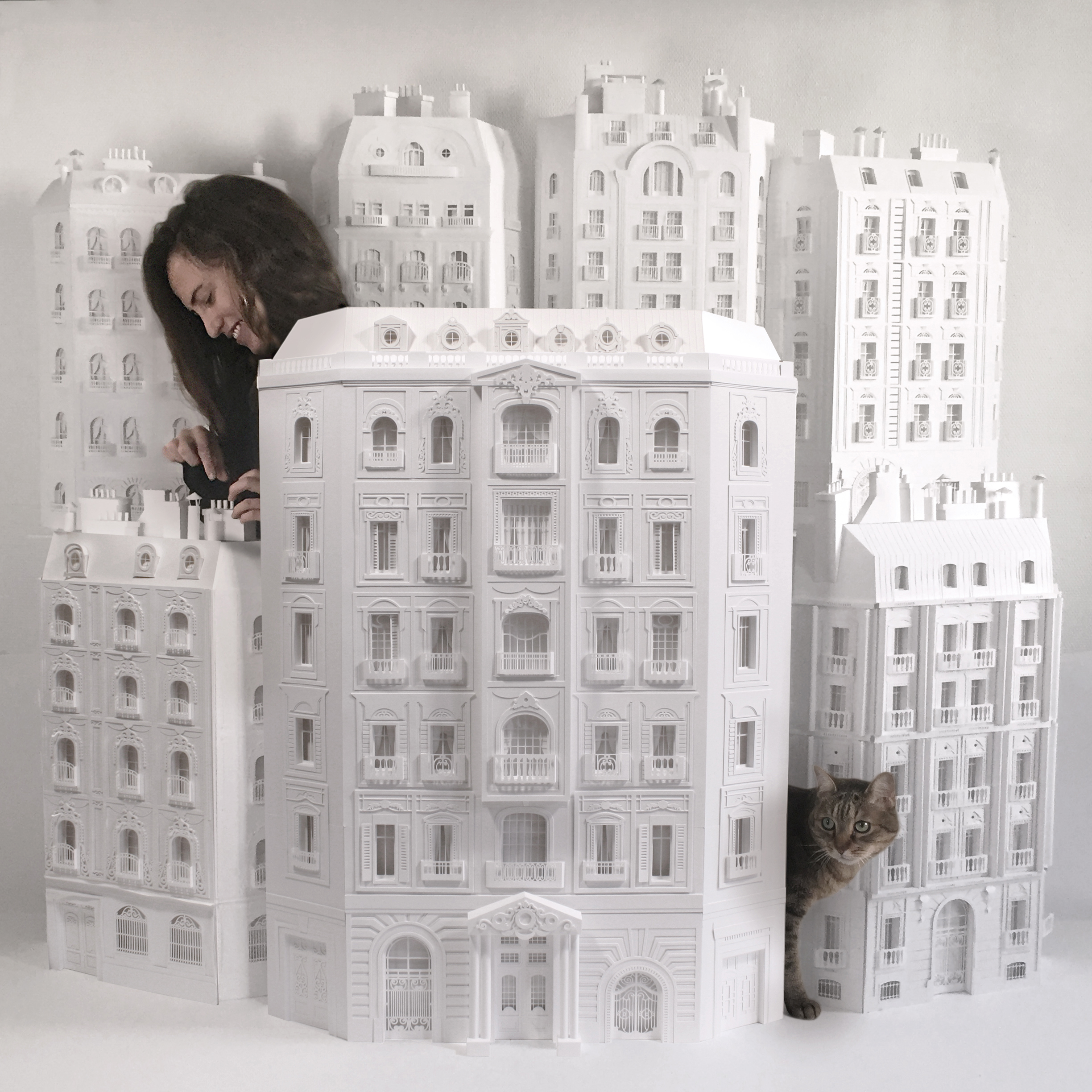 CamilleOrtoli_cat_%C2%A9CamilleOrtoli.jpg