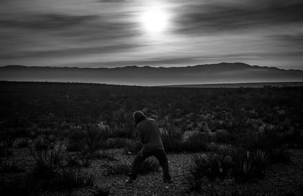 Superb Black and White Photos of The Mexican Desert