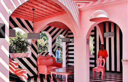 Extraordinary Pink Zebra Restaurant In India