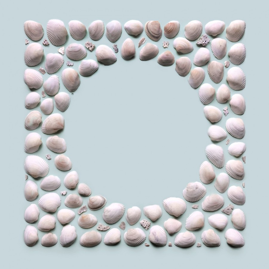 Shells.jpg