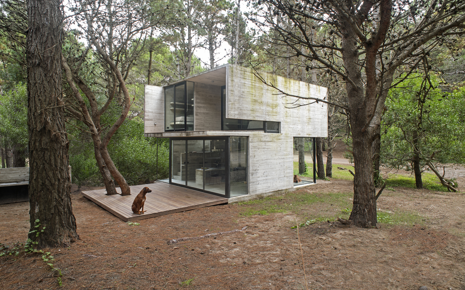 Amazing Concrete and Glass Cabin in Argentina