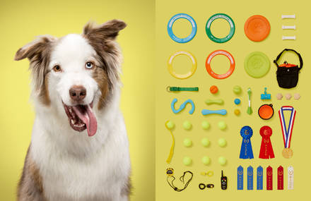 Visual Parallels Between a Dog and His Belongings