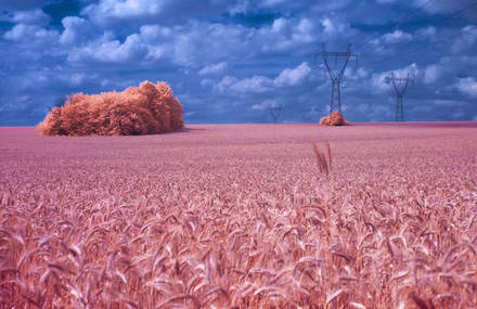 Surprising Infrared Photographs of Poland