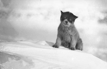 Rare Photography of the First Expedition to Antarctic