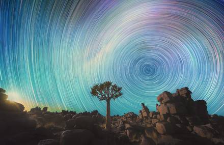 The Starry Skies of Daniel Kordan