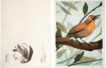 Illustrations of Brazilian Birds