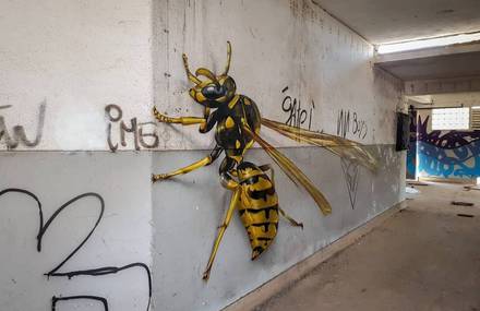 3D Illusions Insects In The Street’s Walls