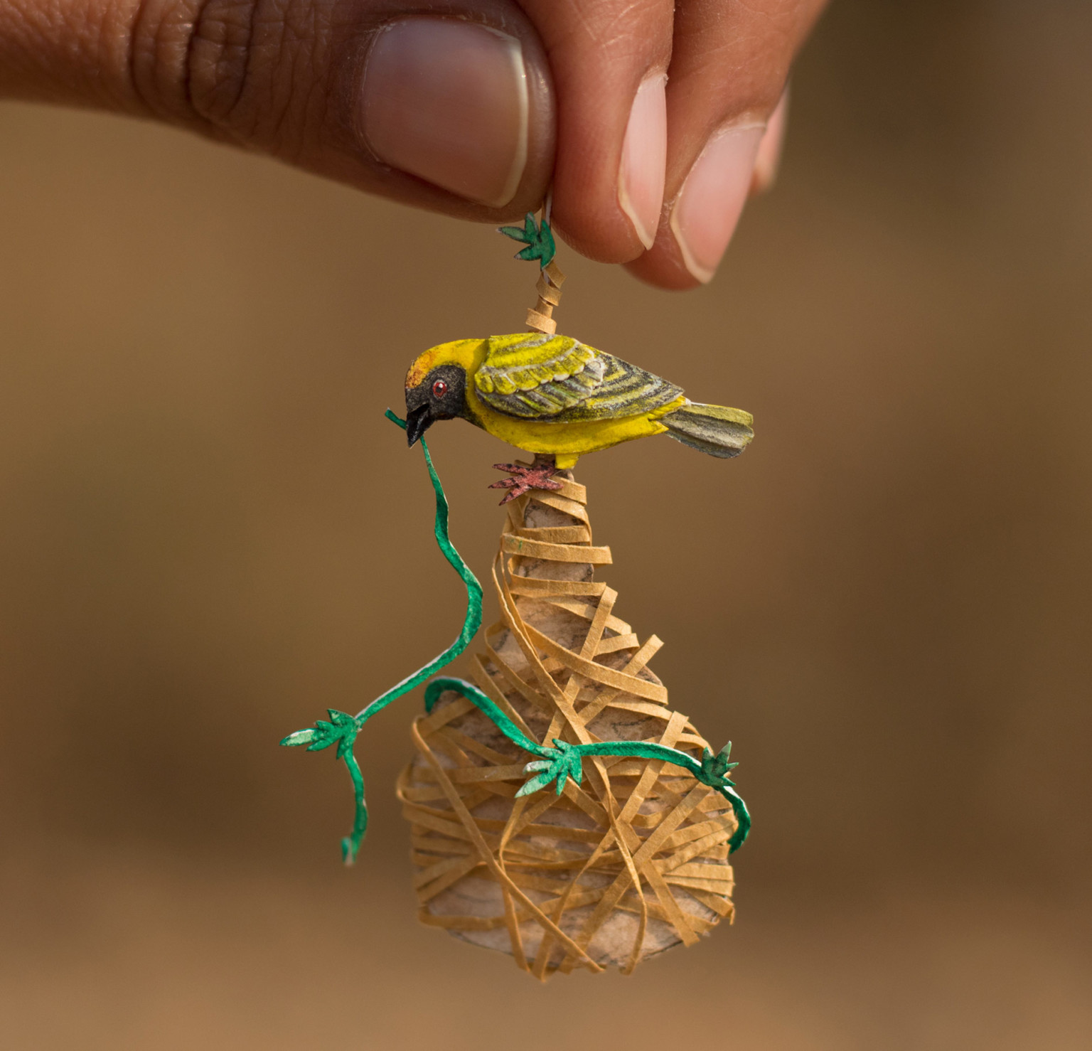 MiniatureBayaWeaverBird-768x739@2x.jpg