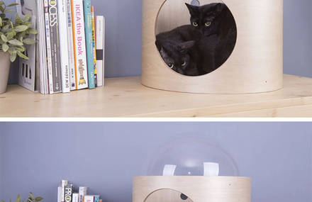 Spaceship Inspired Beds for Cats