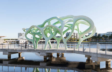 An Installation Looking like a Mangrove Trees