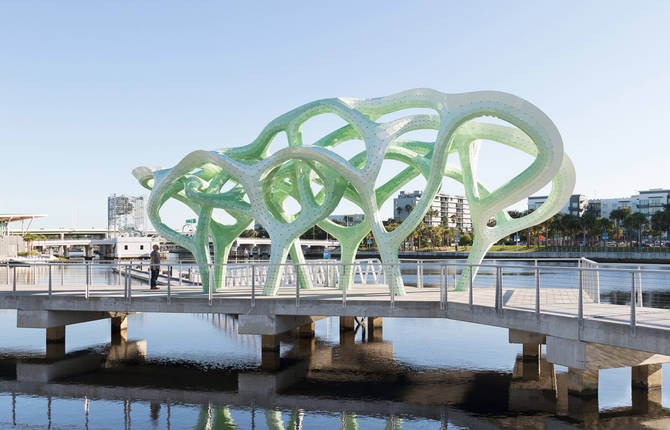An Installation Looking like a Mangrove Trees