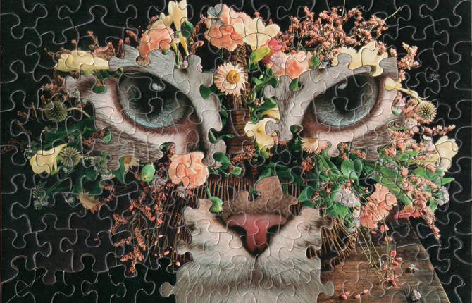 Surreal Puzzle Art by Tim Klein