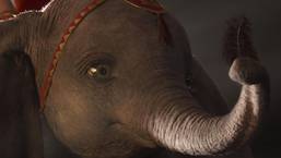 A Trailer for Tim Burton’s Film « Dumbo »