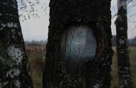 Painting on Trees by Eugeniya Dudnikova