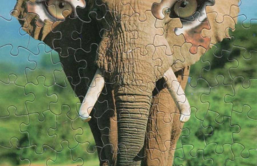 Strange and Surreal Puzzle Hybrids