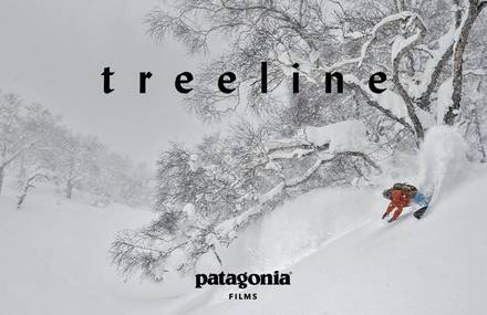 Treeline by Patagonia : a Hommage to the Forest