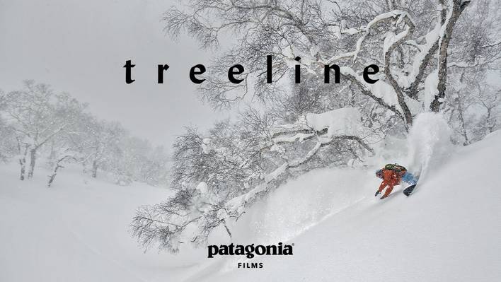 Treeline by Patagonia : a Hommage to the Forest