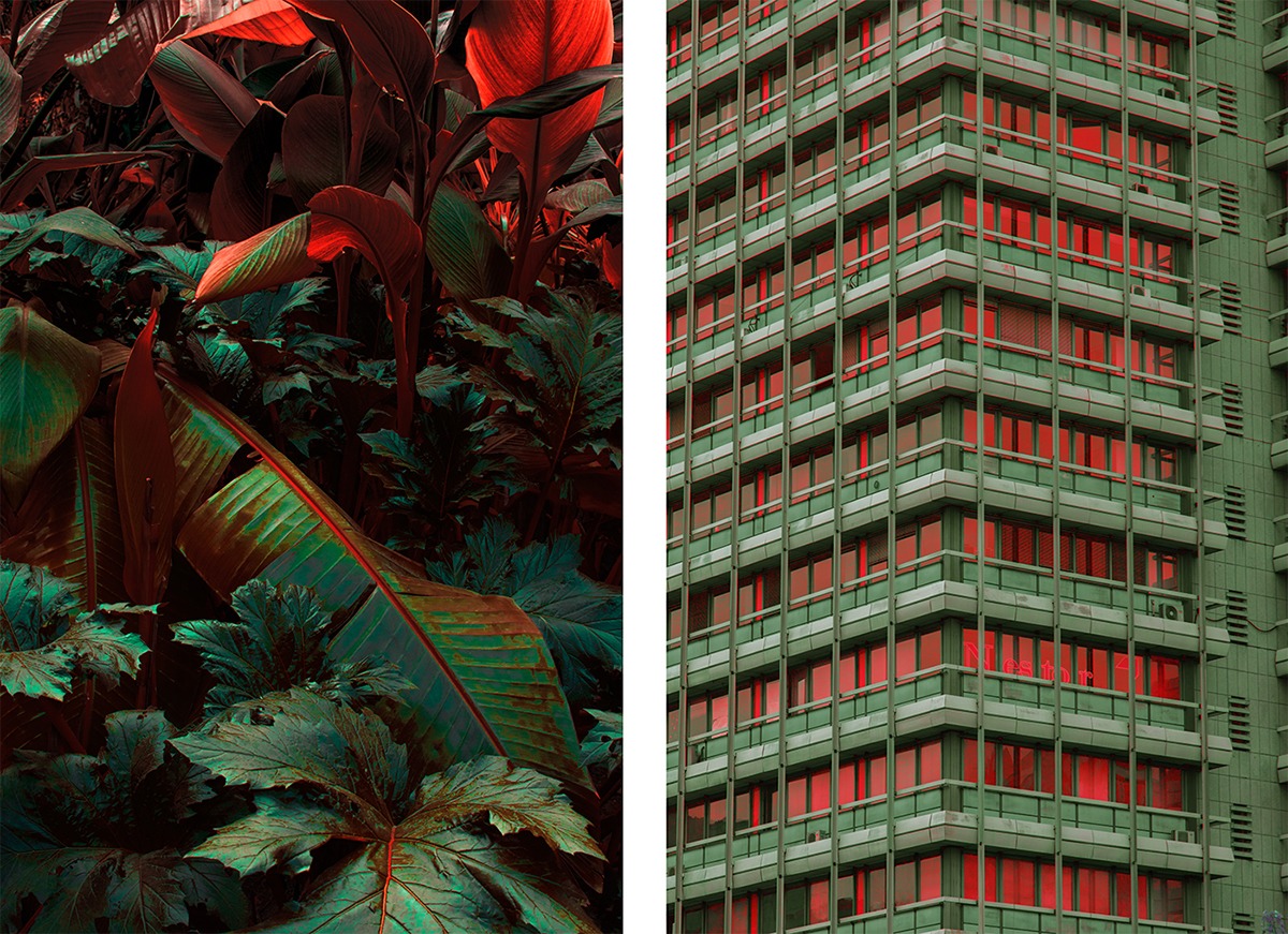 Absence and Collectivity - Al Mefer