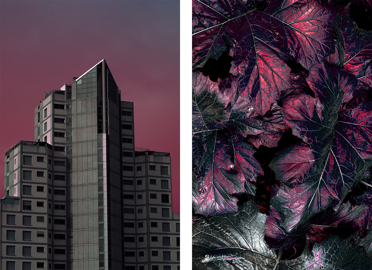 Absence and Collectivity - Al Mefer