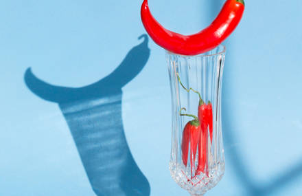 Playful and Colorful Food Compositions