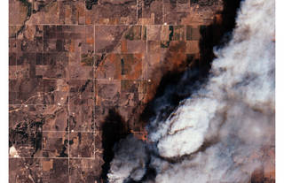 Thomas Paturet&rsquo;s View On Forest Fires