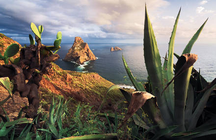 The Beauty of the Canary Islands