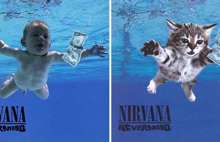 Replacing Musicians with Cats in Famous Album Covers