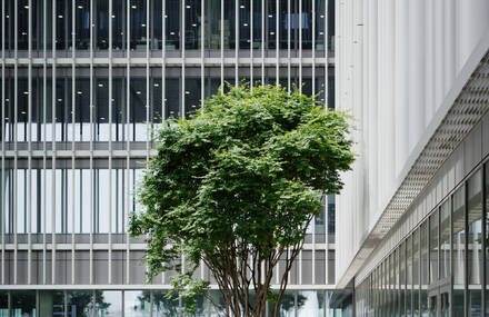 Light and Plant-Filled Atrium of Seoul’s Amorepacific Building