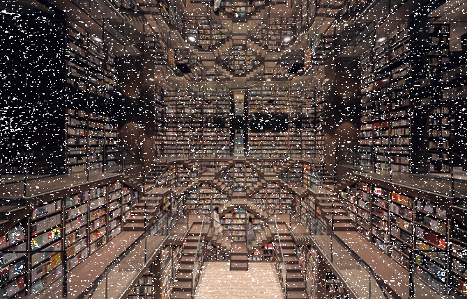An Inception Like Optical Illusion into a Bookstore