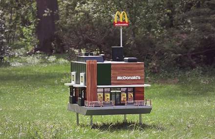 McDonald Creates the First Restaurant for Bees