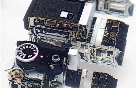 Dissected Vintage Cameras by Fabian Oefner