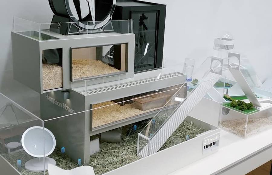 Luxury Houses for Hamsters