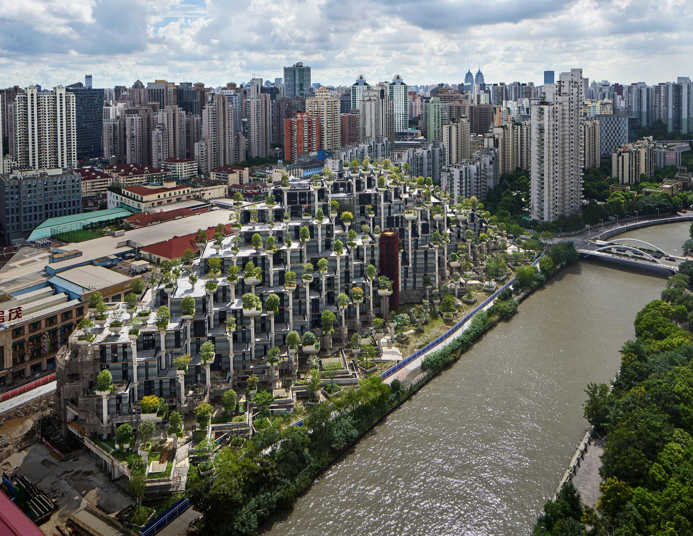 1000 Trees in Shanghai