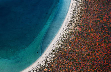 Shark Bay’s Landscapes Viewed From the Sky