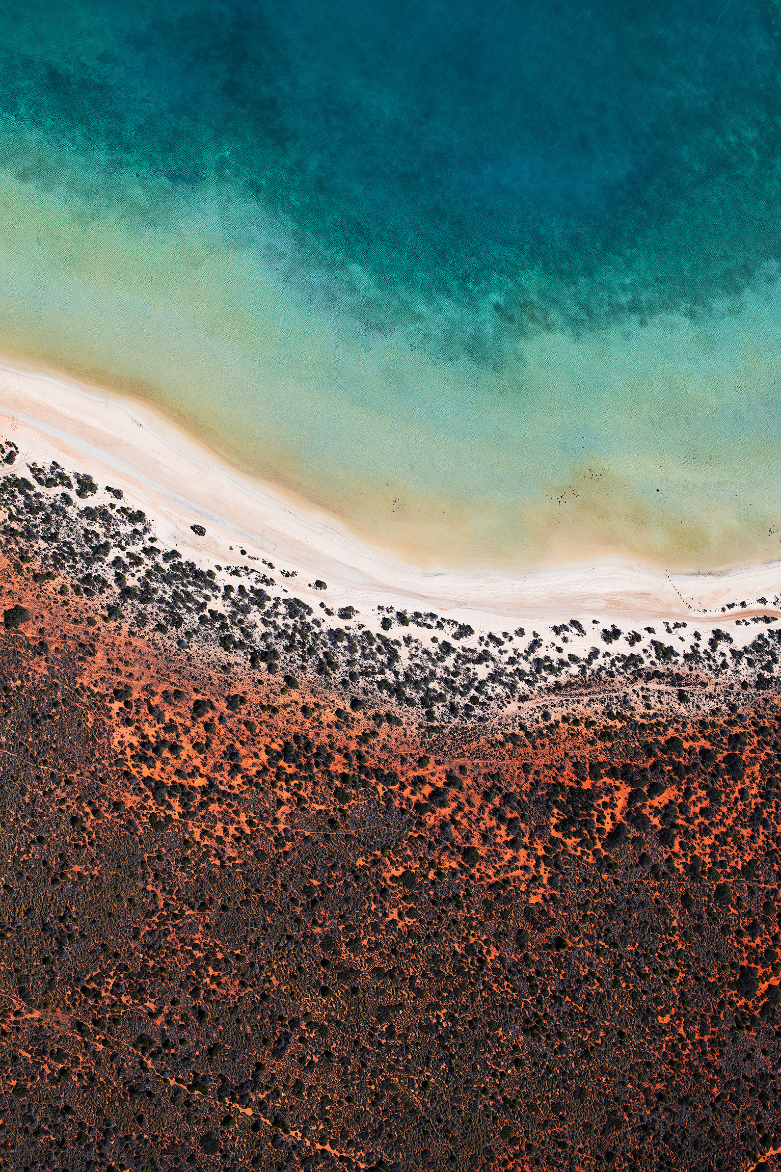 Kings Canyon
