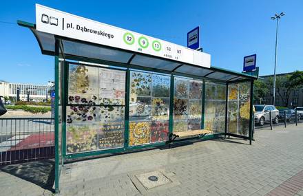 Polish Tram Station Turned into a Floral Museum