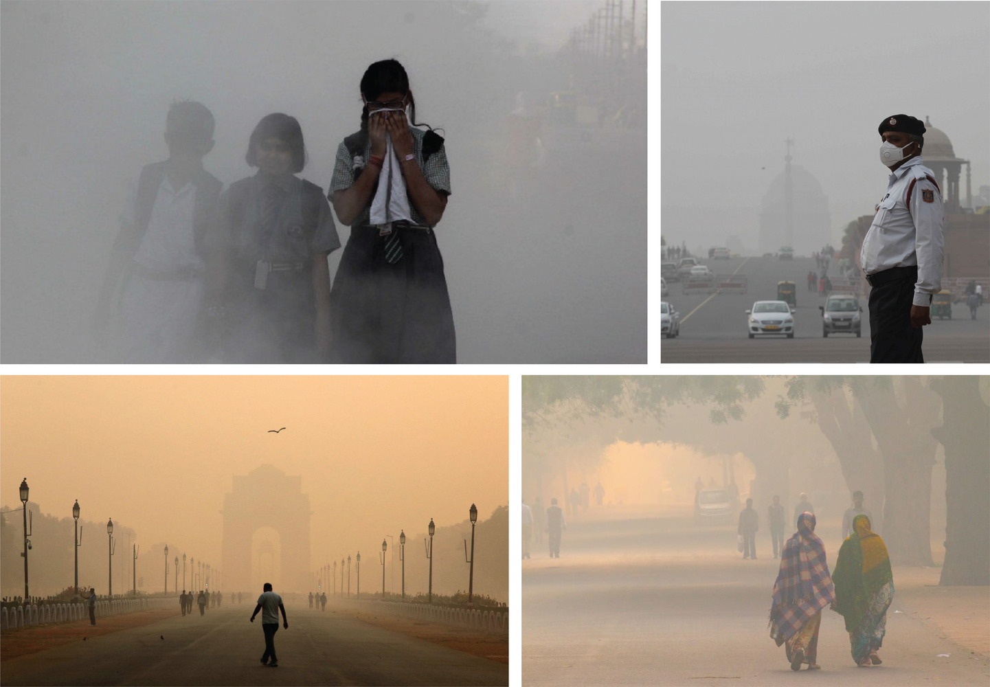 Undertaking Ideas to Fight Pollution in Delhi