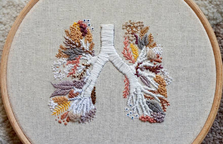 Anatomy Finely Embroidered