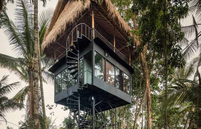 A Treehouse Hotel in Paradise