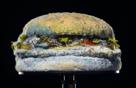 A Timelapse of Burger King’s Whopper Turning Moldy