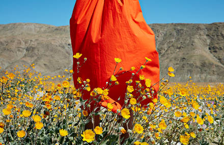 Through The Lens of Photographer Jessica Antola