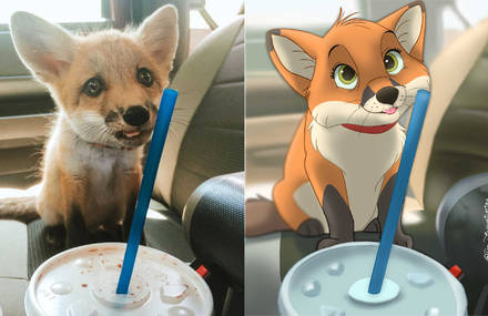 Pets Transformed Into Adorable Disney Characters