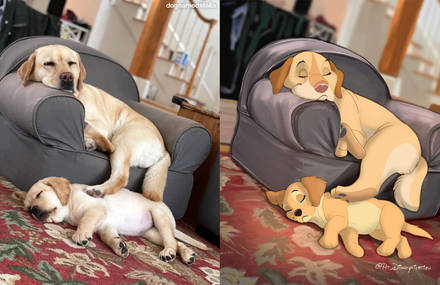 Pets Transformed Into Adorable Disney Characters