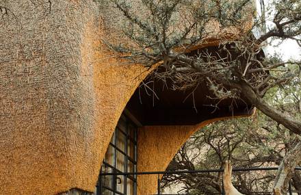 Guest Houses Shaped as Bird Nests by Porky Hefer