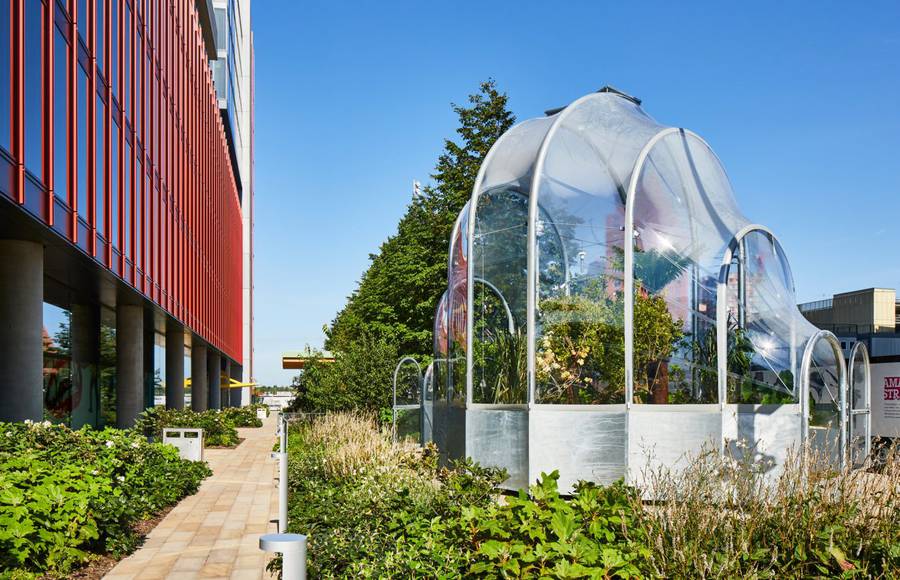 A Eco-Friendly Hothouse in the Middle of London
