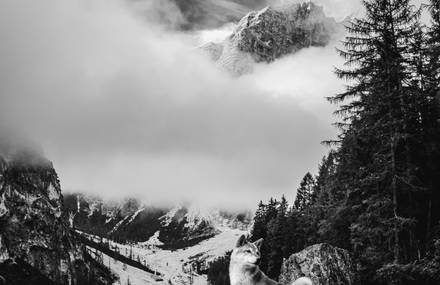 Dolomites in 50 Shades of Grey