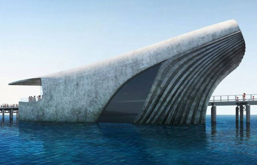 A Whale Shaped Aquarium in Australia