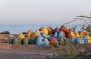 Colorful Domes in Hormuz Island